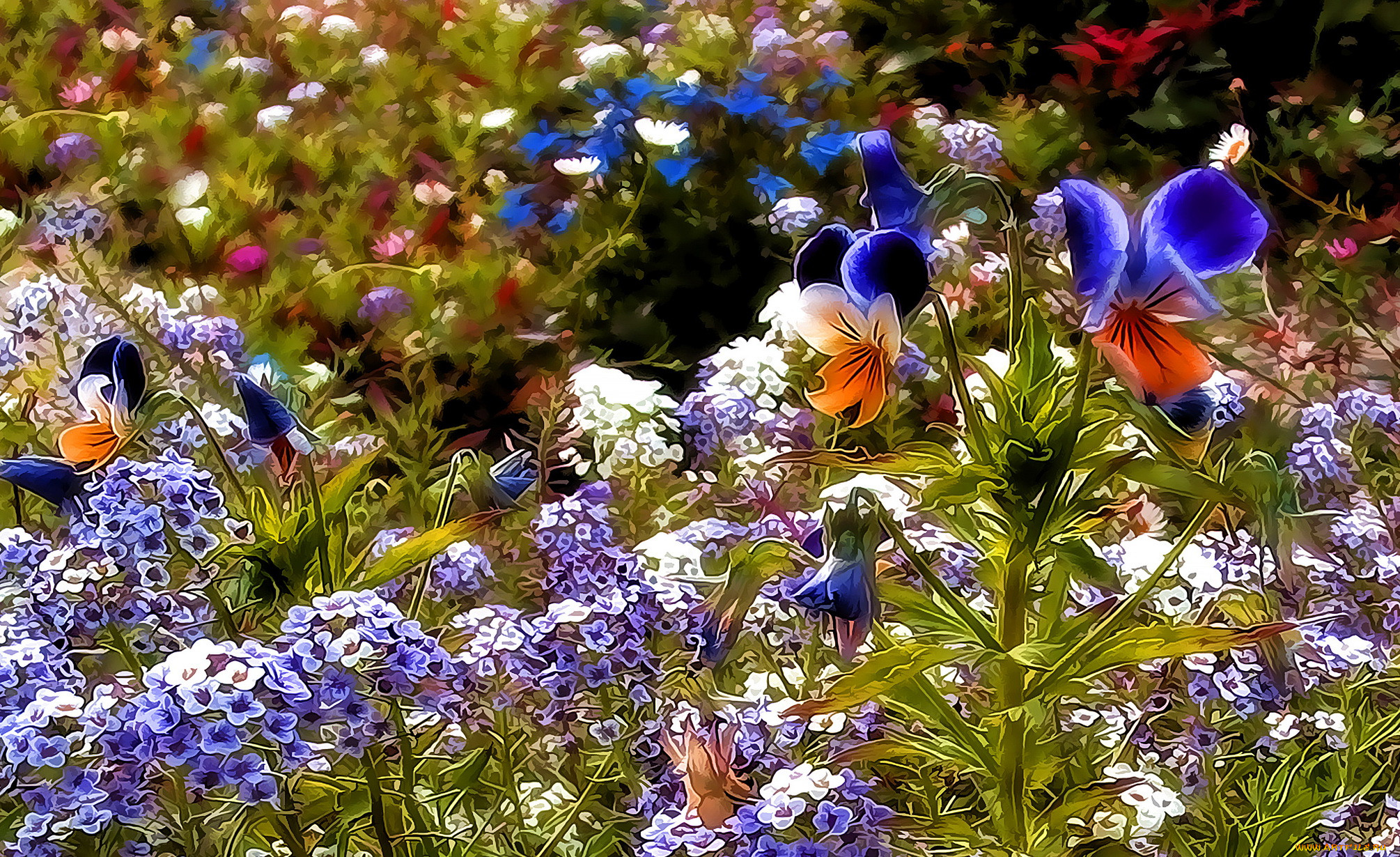 ,  , , , 